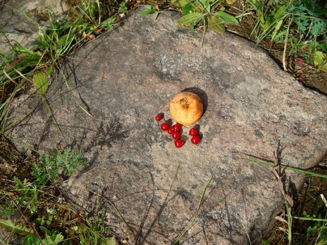 Небольшая дверь в Лето!