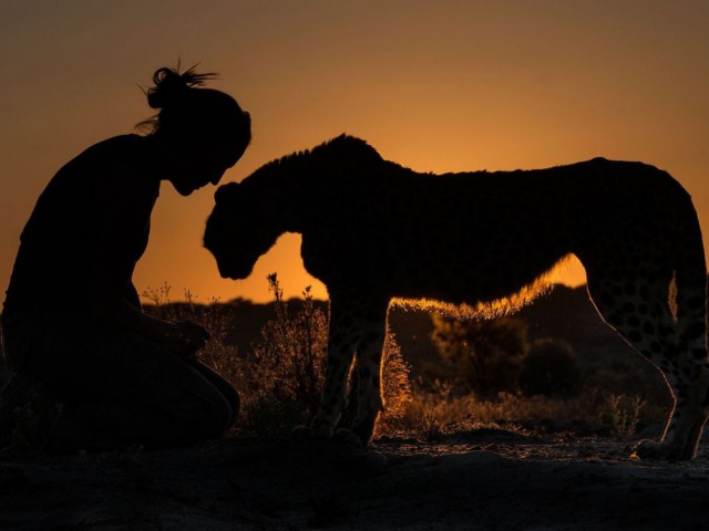 Лучшие фотографии National Geographic 2015