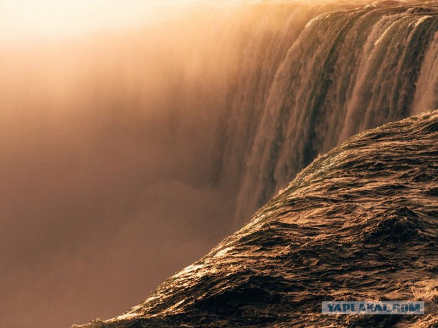 15 лучших кадров января от National Geographic