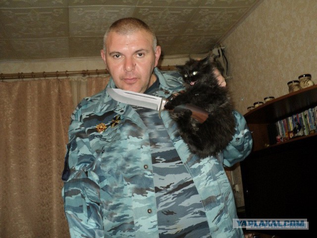 Челябинский полицейский приставил нож к горлу котенка