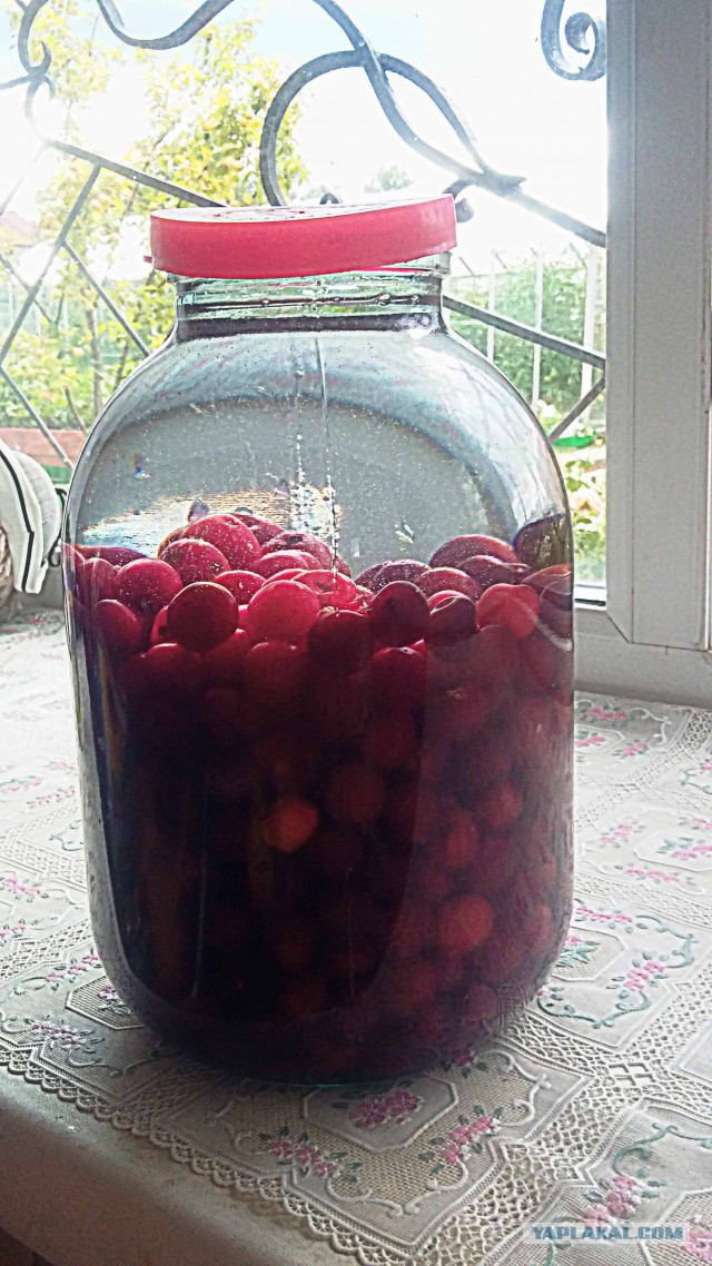 Пополамка ... из вишенков