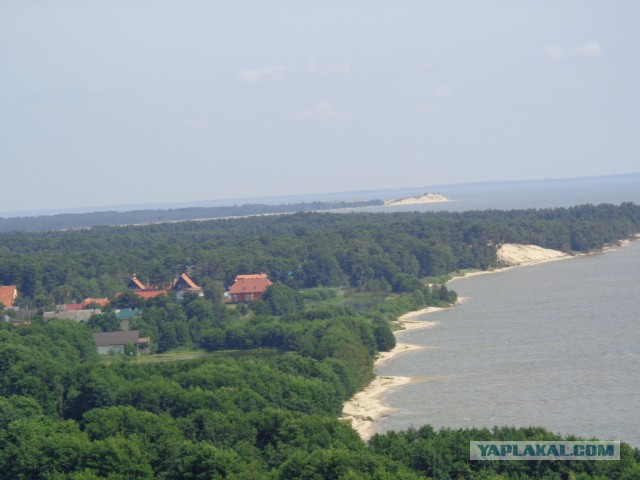 Очарованная Калининградом