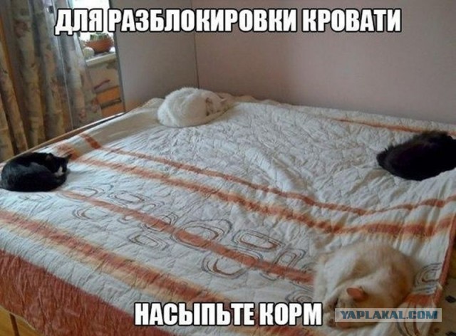 Картинки. Интересные, старые и не очень