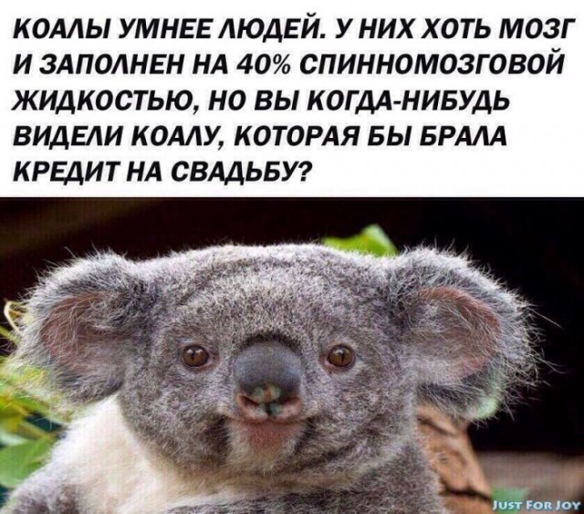 "Опозорил!": печальные истории современных свадеб