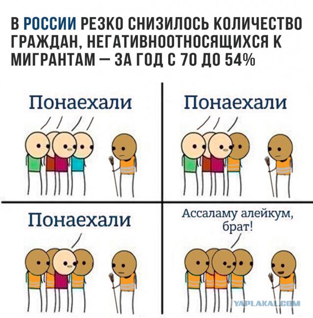 Подборка интересных и веселых картинок