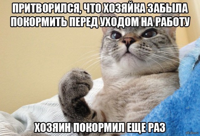 Забота