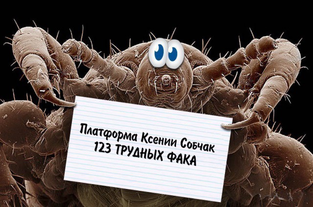 Предвыборная программа К. Собчак.