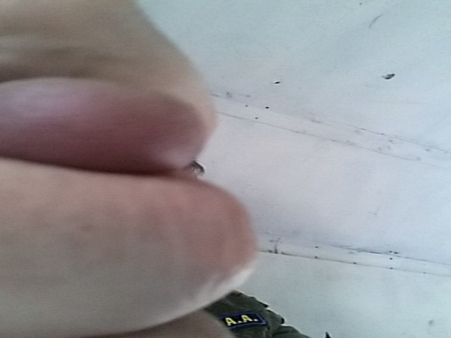 Итоги проверки пользователей