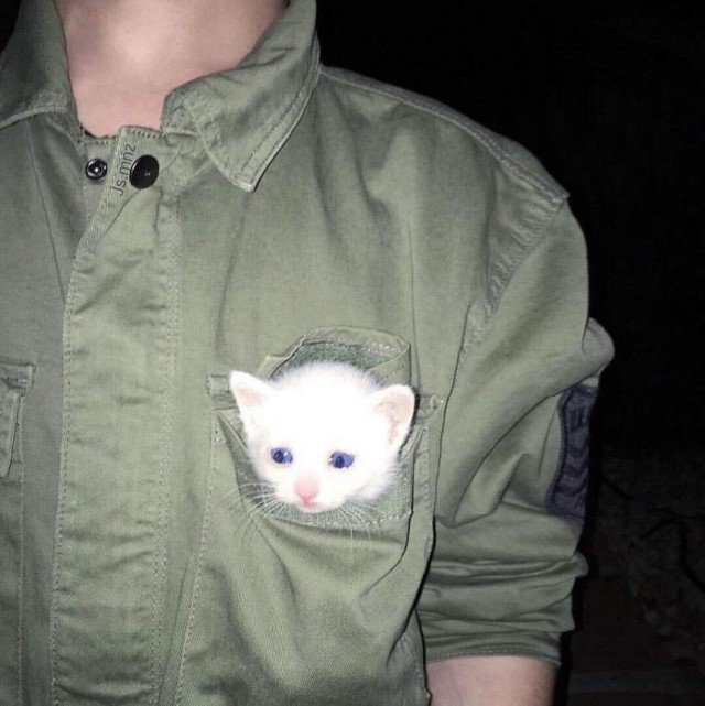 Немного милоты