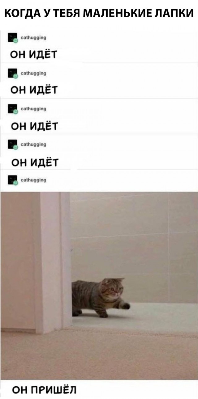 Прикольные картинки абавсём