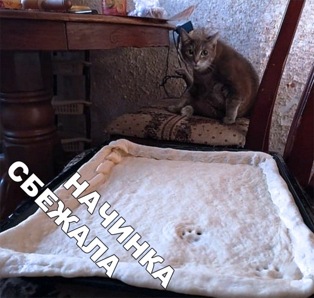 Немного милоты