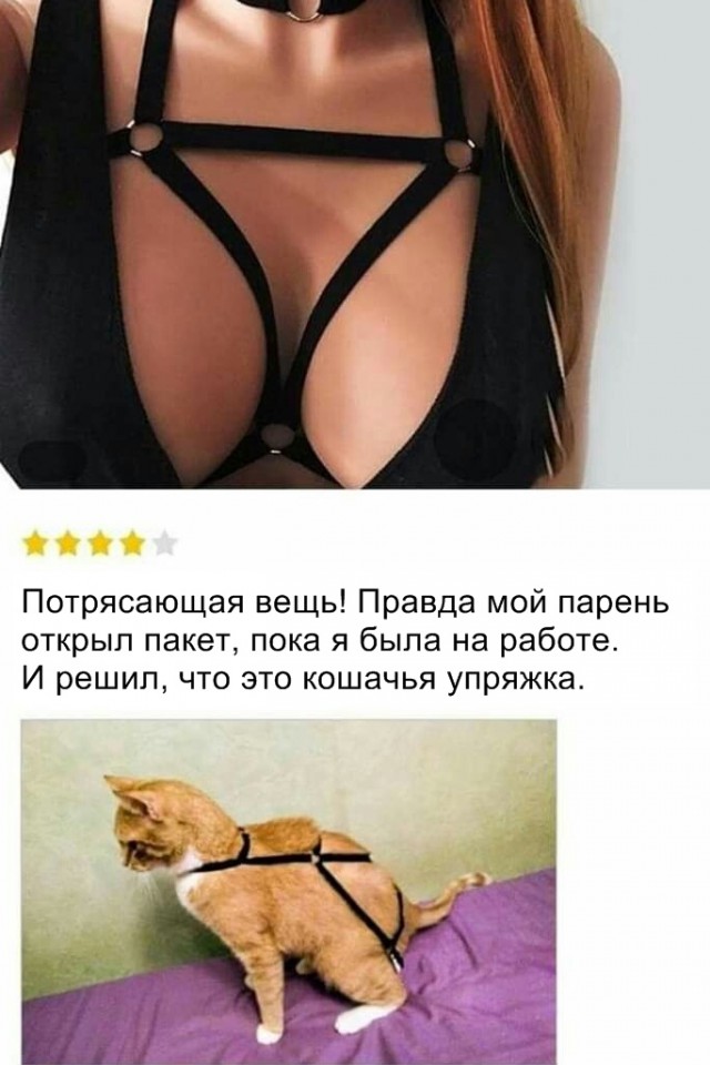 Дай дураку лобзик
