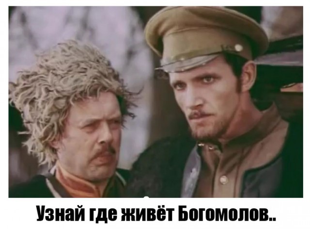 Битва за звание почётного конюха. Виторган избил Богомолова