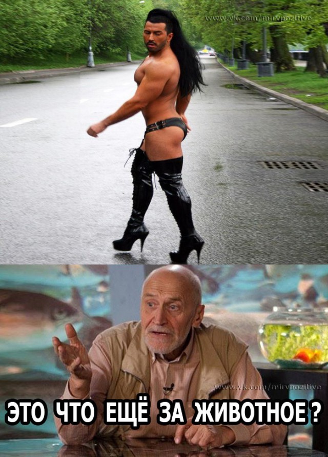 Я не знаю, что тут происходит...