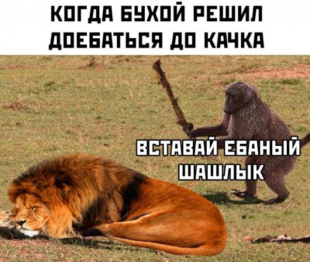 Немного картинок для настроения