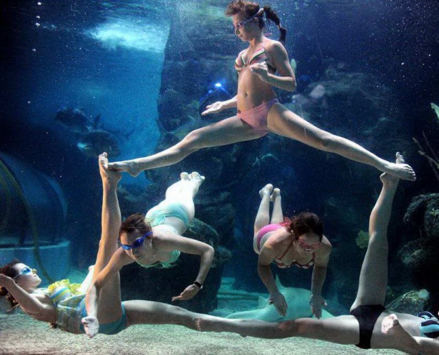 50 красивых картинок о том, что происходит под водой