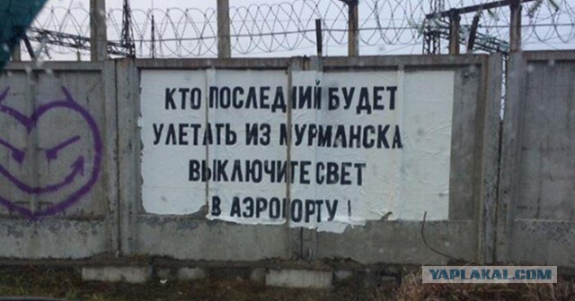 Асфальт, стены, заборы... Так пить или жить?