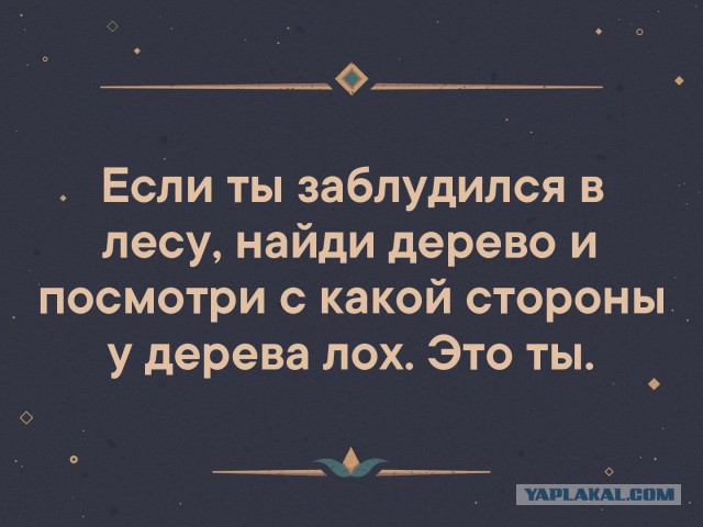 Крик души поисковика
