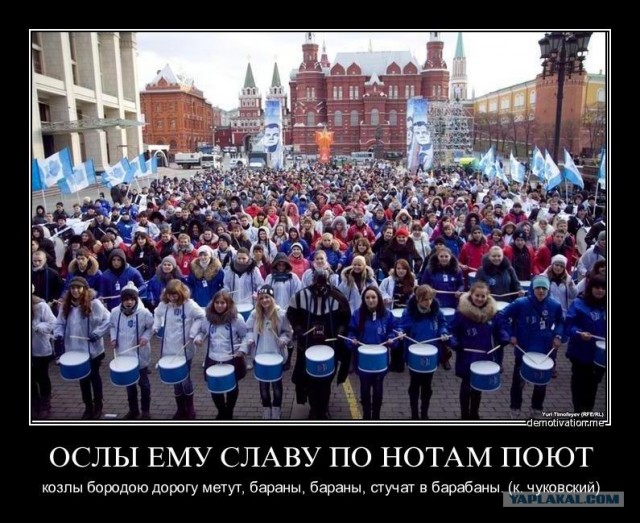 Делай сам свой выбор. Мы против всех жуликов