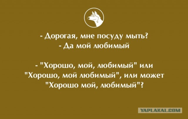 Русский язык может свести с ума даже тех, кто знает его с рождения