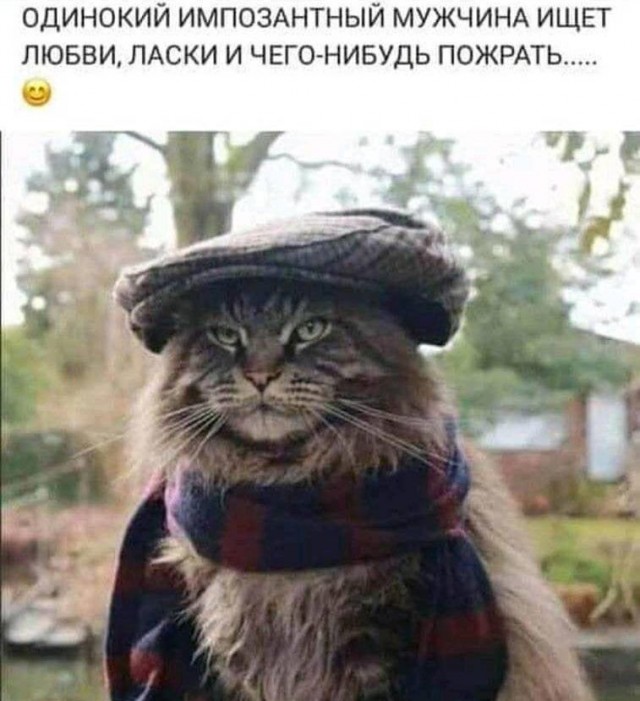 Чуток картинок! 26.12.19