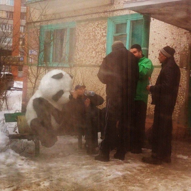 Алкоты, пост!