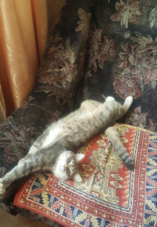 Тимка