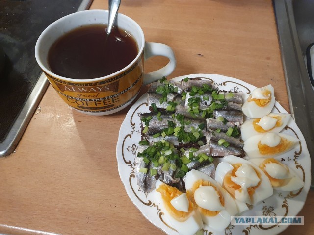 Килька: Селёдка, ставшая культовой в СССР. Её ловят по 600 тысяч тонн в год, а она не кончается. Как так?