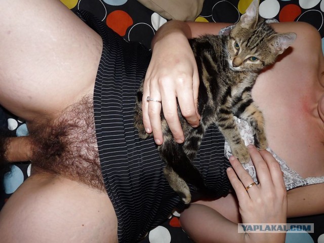 Девушки котовторника