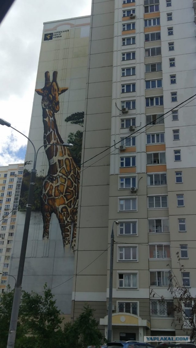 Граффити на жилых домах