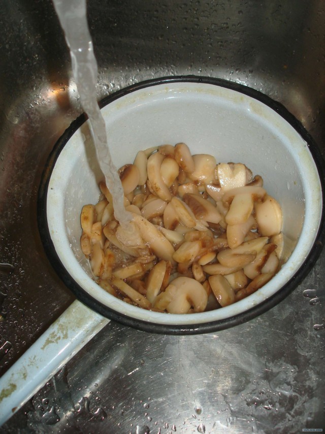 Тушёный картофель с грибами