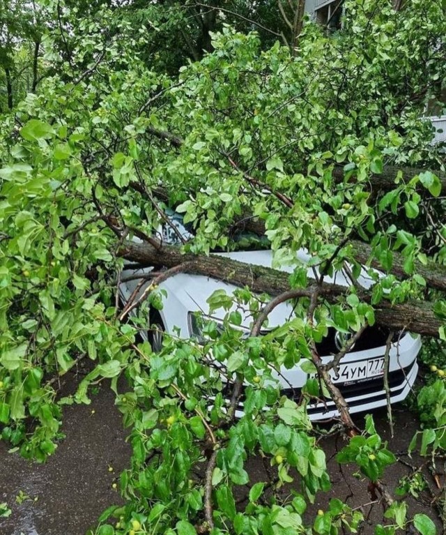 Многие москвичи ждали освежающий дождик и приятную прохладу, а получили ливень, град и порывы ветра
