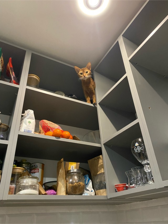 Вторник. Котэ. Пора