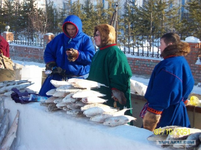 Люди из северных сказок: рынок в Салехарде