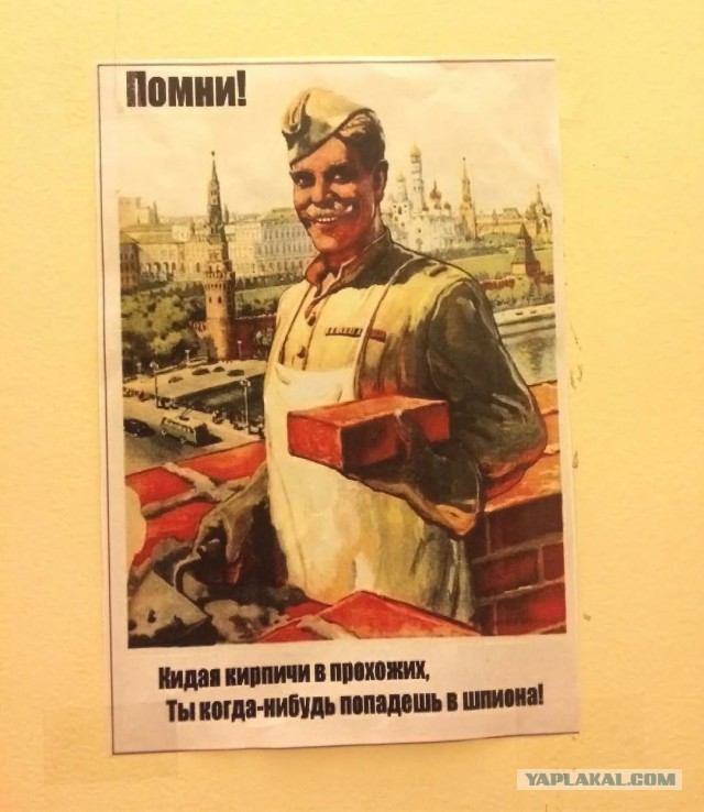 В Питере девушка едва ли не отправилась к праотцам из-за пролетевшего в паре сантиметрах от неё кирпича, упавшего с 19 этажа