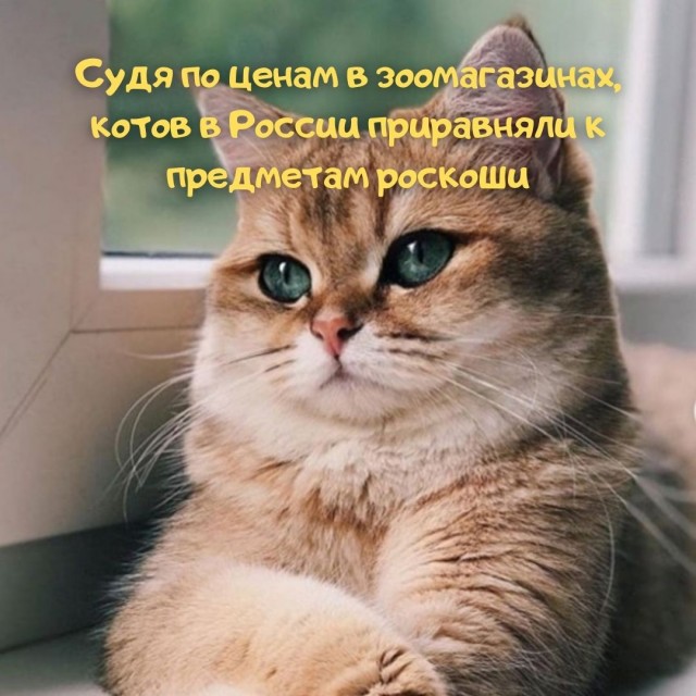 Так себе картинки 26.03.22