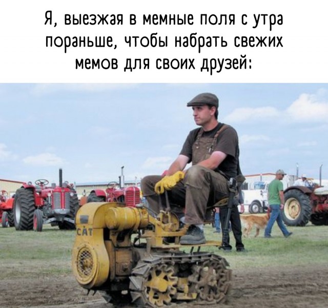Так себе картинки 16.05.22