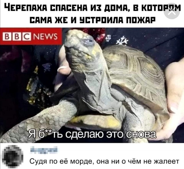 Так себе картинки 17.06.22