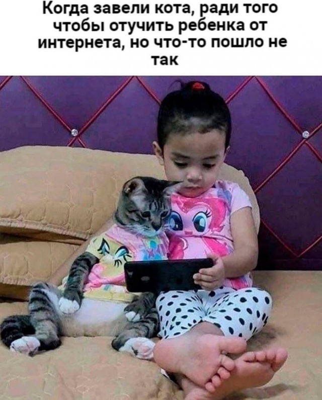 Так себе картинки 26.07.22