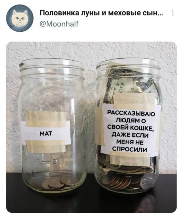 Немного картинок для настроения - 114