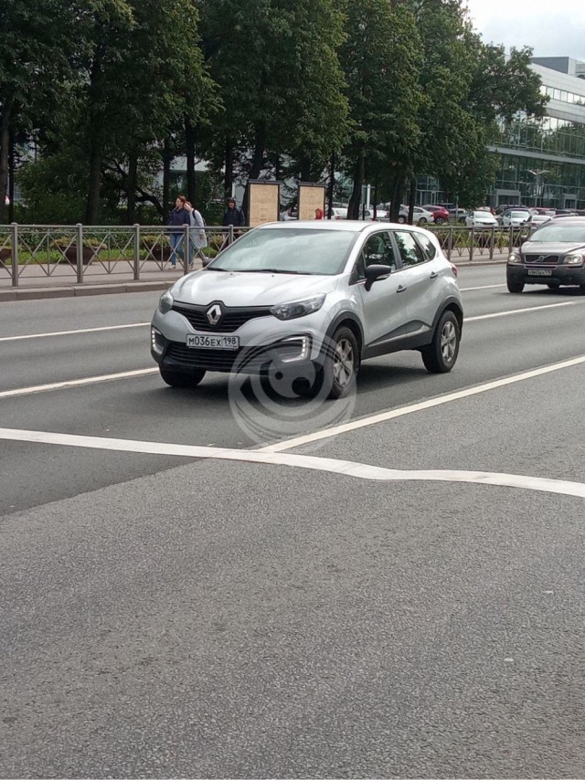 Животное в СПб