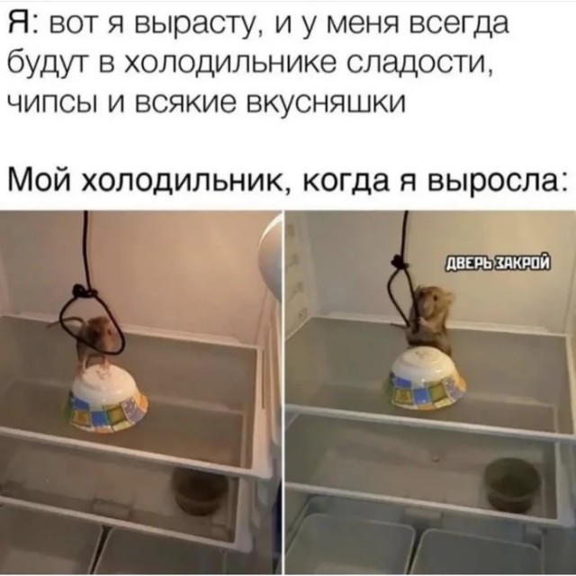Что тебе нравится в девушках?
