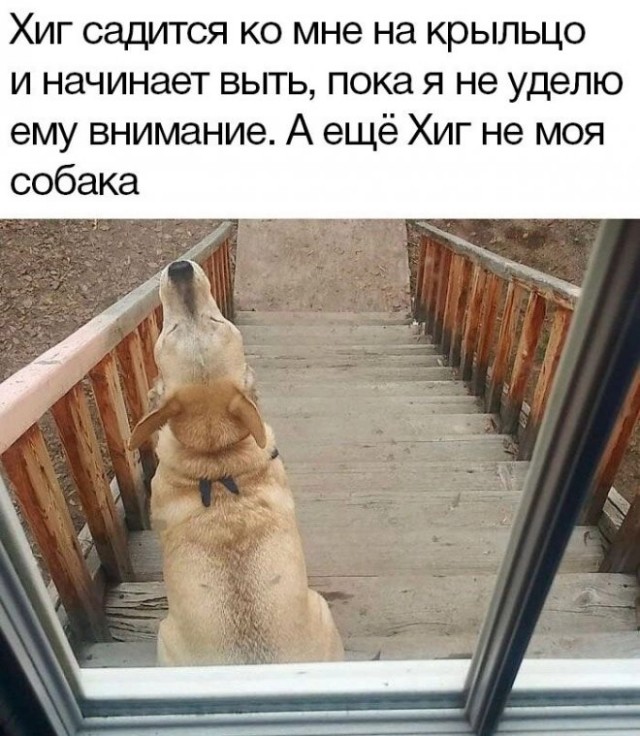 Так себе картинки 14.01.23