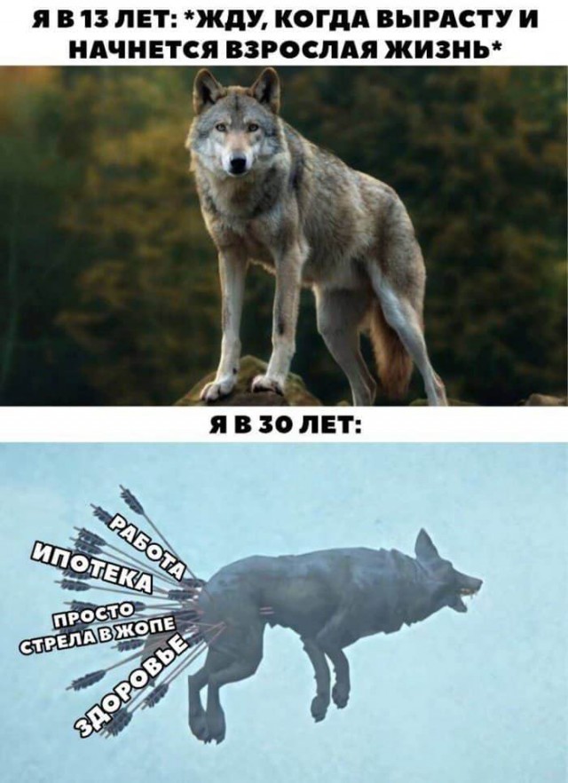 Псто с картинками