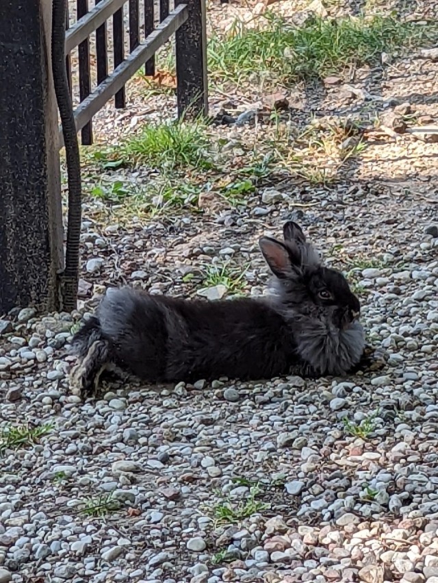 Немного картинок для настроения