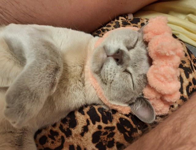 Moлoчный шoкoлaд с капелькoй недoвoльcтвa