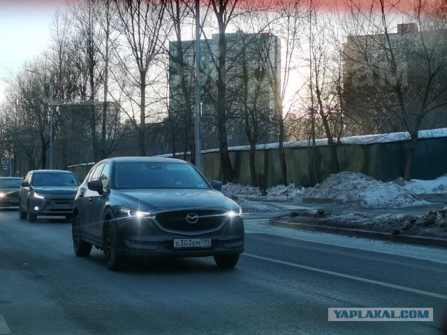 Умеет папа "взбодрить" семью