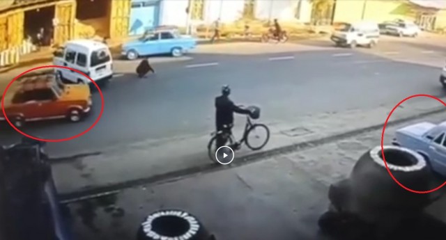 Вот свезло, так свезло!