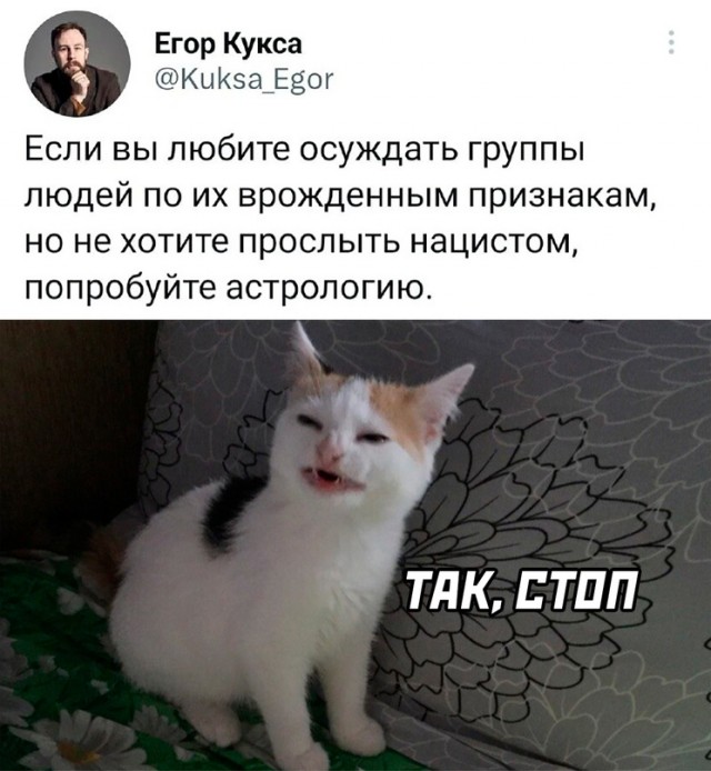 Немного картинок для настроения - 161