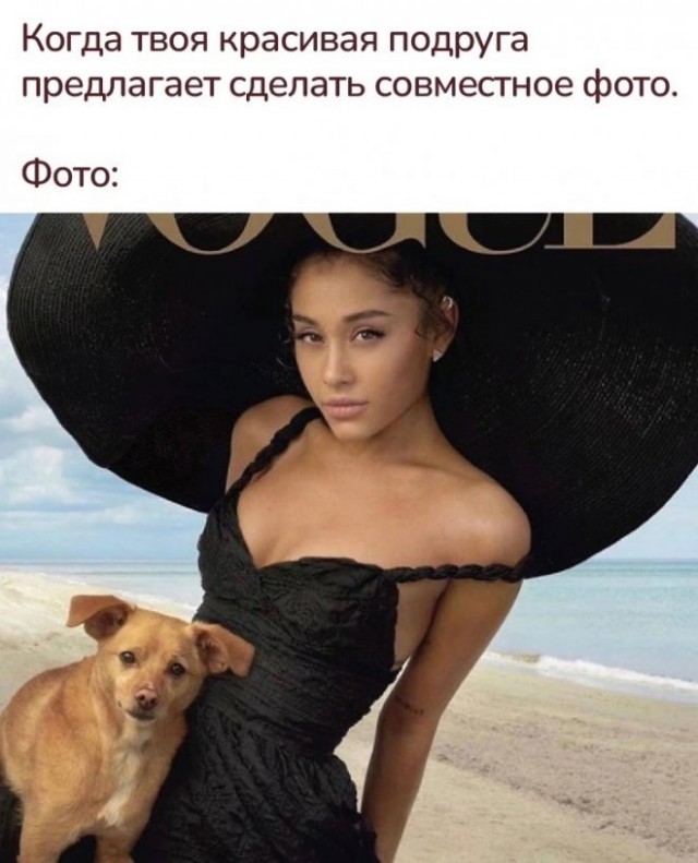 Картинки и мемы для настроения - 137